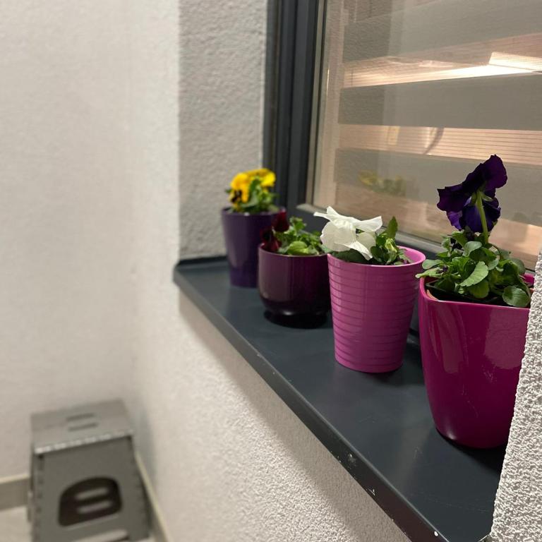 APARTMAN MIK NOVI SAD - Apartman sa 1 Spavaćom Sobom - 21