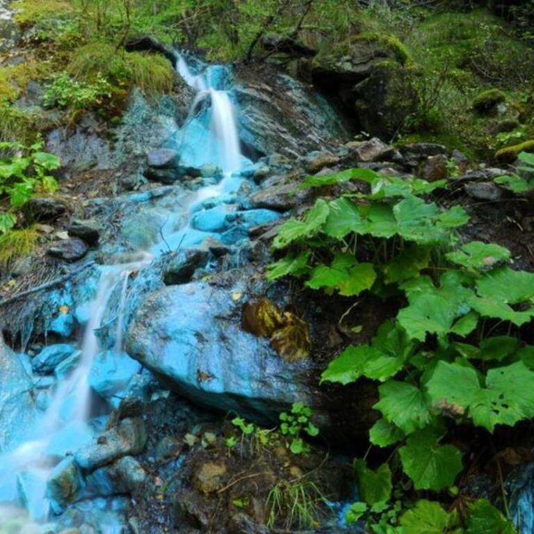 Alloggio immerso nella natura - Appartamento con 1 Camera da Letto con Vista - 9