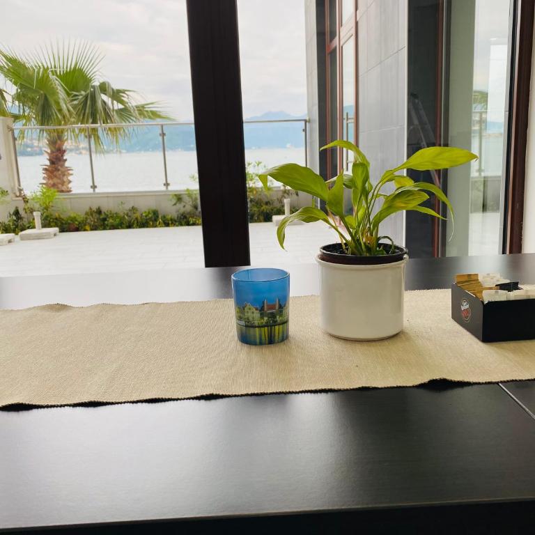 Hotel Vienna - Deluxe Double or Twin Room with Ocean View - 5