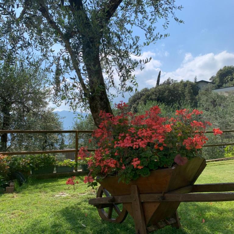 Appartamento Gardenia - Appartamento con 2 Camere da Letto - 26