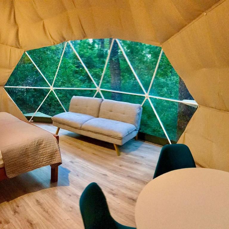 Bosque Vivo - Glamping - 3