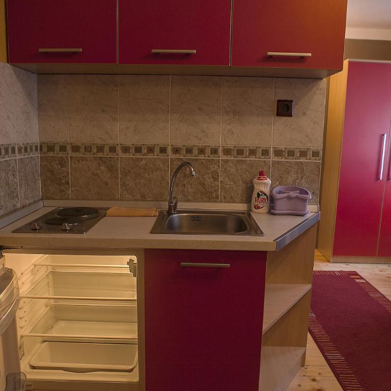 Žabljak City Center Apartments - Studio (S1) - 2