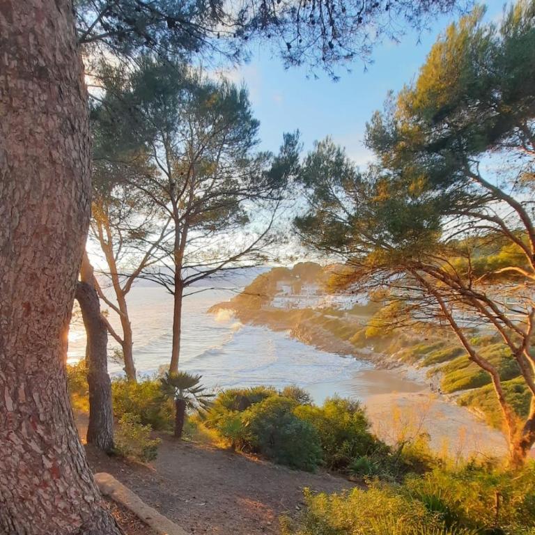 Brisa al Mar Cap Salou - Apartamento de 2 dormitorios - 22