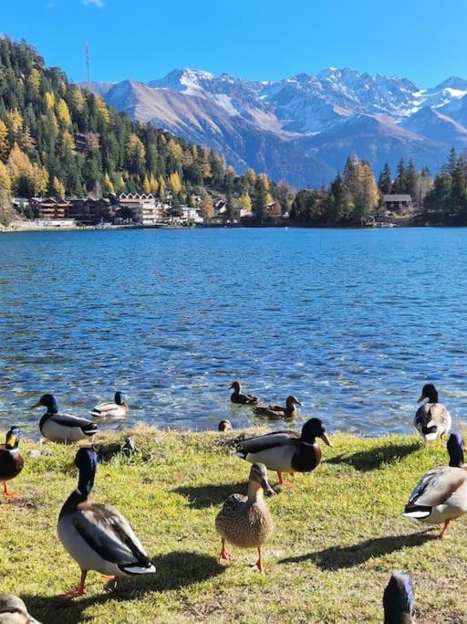 Superbe appartement Champex-Lac avec piscine et sauna - Apartment mit 2 Schlafzimmern - 26