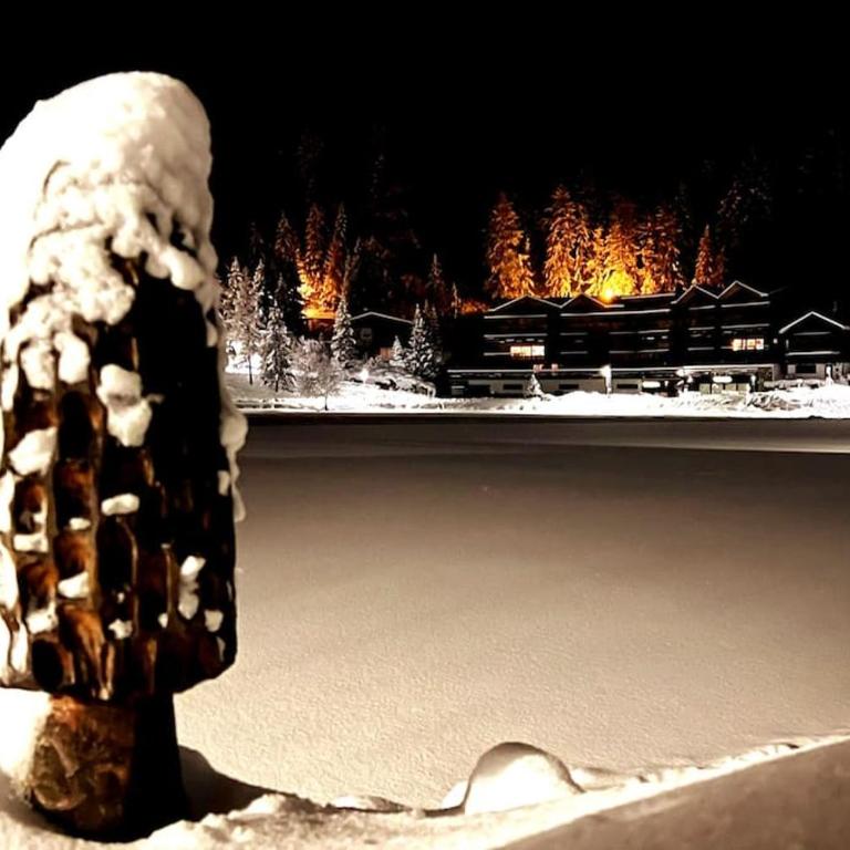 Superbe appartement Champex-Lac avec piscine et sauna - Apartment mit 2 Schlafzimmern - 21