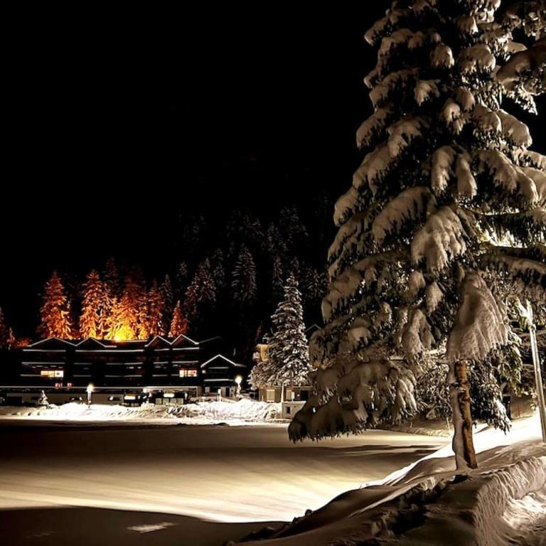 Superbe appartement Champex-Lac avec piscine et sauna - Apartment mit 2 Schlafzimmern - 20