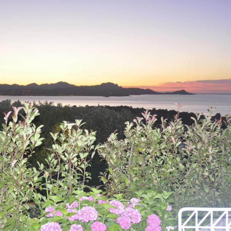Stunning Sea View Cote d'Azur Villa - Rives d'Or - Villa - 41