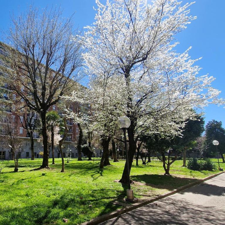 Giardino sul Naviglio - Appartamento con 2 Camere da Letto - 1
