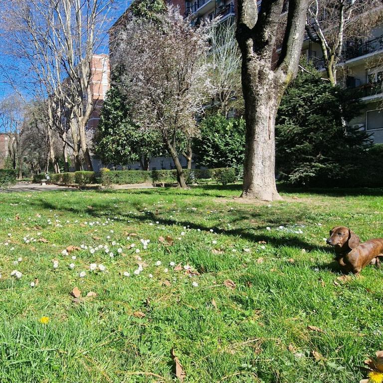 Giardino sul Naviglio - Appartamento con 2 Camere da Letto - 21