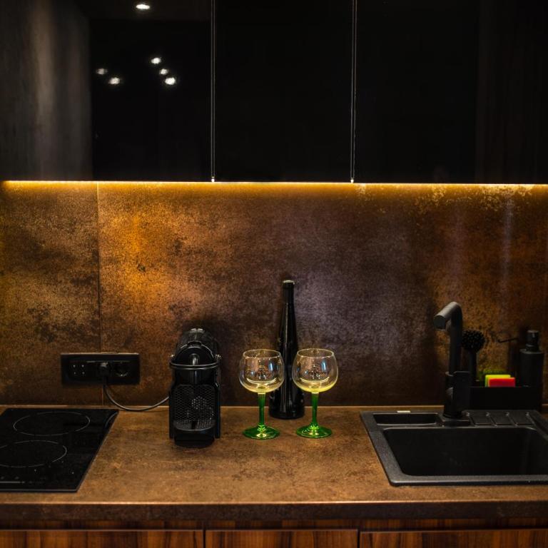 MaLux Nis - Apartman sa 1 Spavaćom Sobom - 5