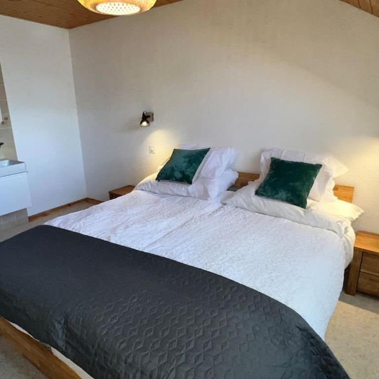 Apartment in Wengen - Amazing views, centrally located by train station - Apartment mit 2 Schlafzimmern - 16