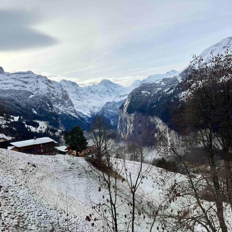 Apartment in Wengen - Amazing views, centrally located by train station - Apartment mit 2 Schlafzimmern - 32