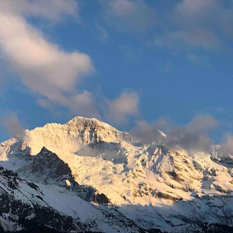 Apartment in Wengen - Amazing views, centrally located by train station - Apartment mit 2 Schlafzimmern - 30