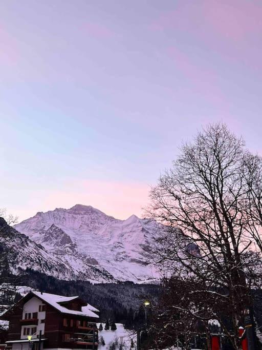 Apartment in Wengen - Amazing views, centrally located by train station - Apartment mit 2 Schlafzimmern - 27
