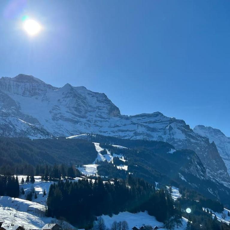 Apartment in Wengen - Amazing views, centrally located by train station - Apartment mit 2 Schlafzimmern - 23