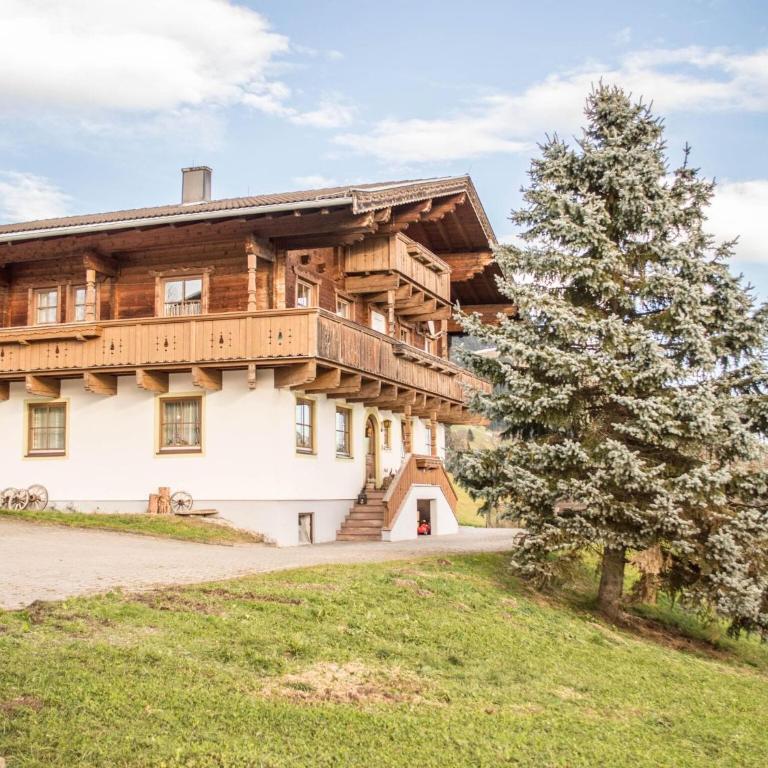 Apartment in Mittersill near KitzSki Lift - Apartment mit 1 Schlafzimmer - 5