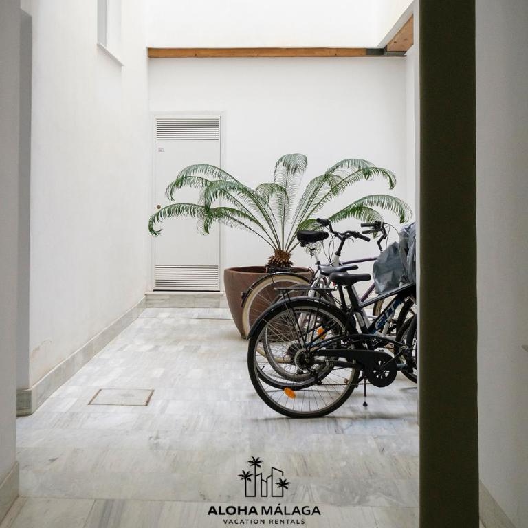 Platea Cervantes, Centro Histórico by AlohaMálaga - Apartamento de 1 dormitorio - 21