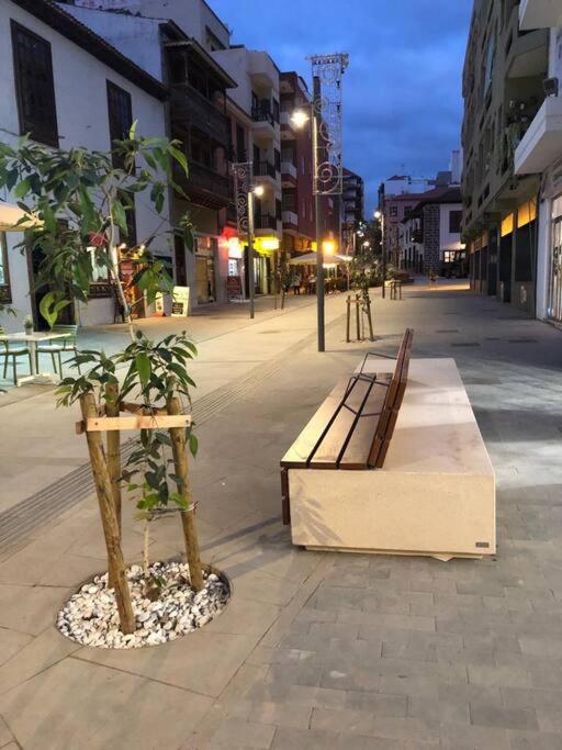 Estudio con amplia terraza en Puerto de la Cruz - Apartamento de 1 dormitorio - 16
