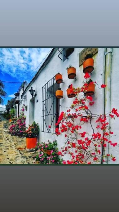Cabaña 41, aldea Doradal Santorini Colombiano - Apartamento de 2 dormitorios - 5