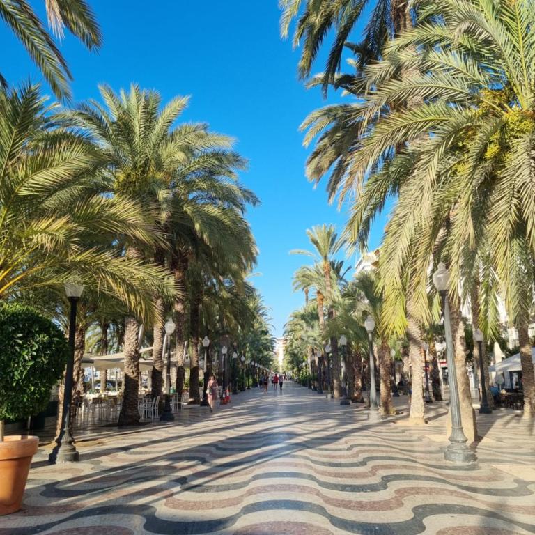 Casa Verde Alicante - Three-Bedroom Apartment - 13