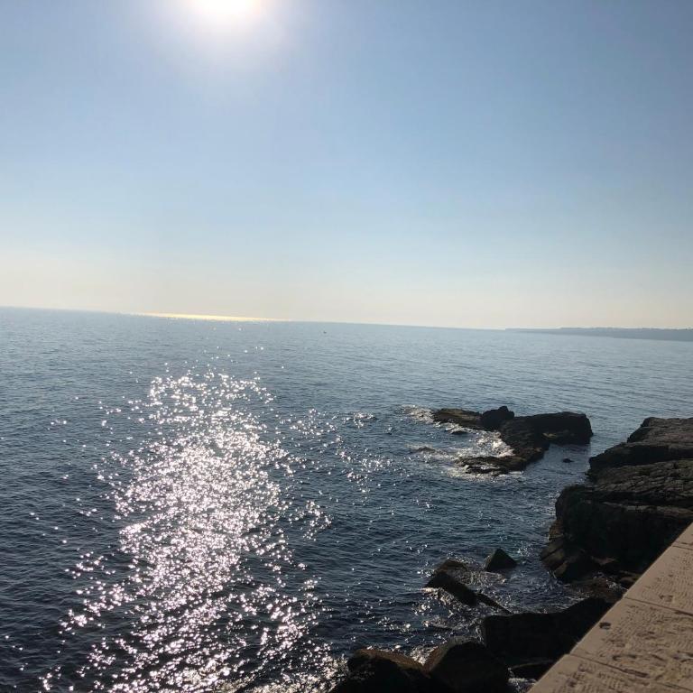 Giudecca Studios - One-Bedroom House - 31