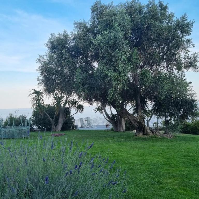 Agriturismo La Tuffatrice - Appartamento con 1 Camera da Letto - 19