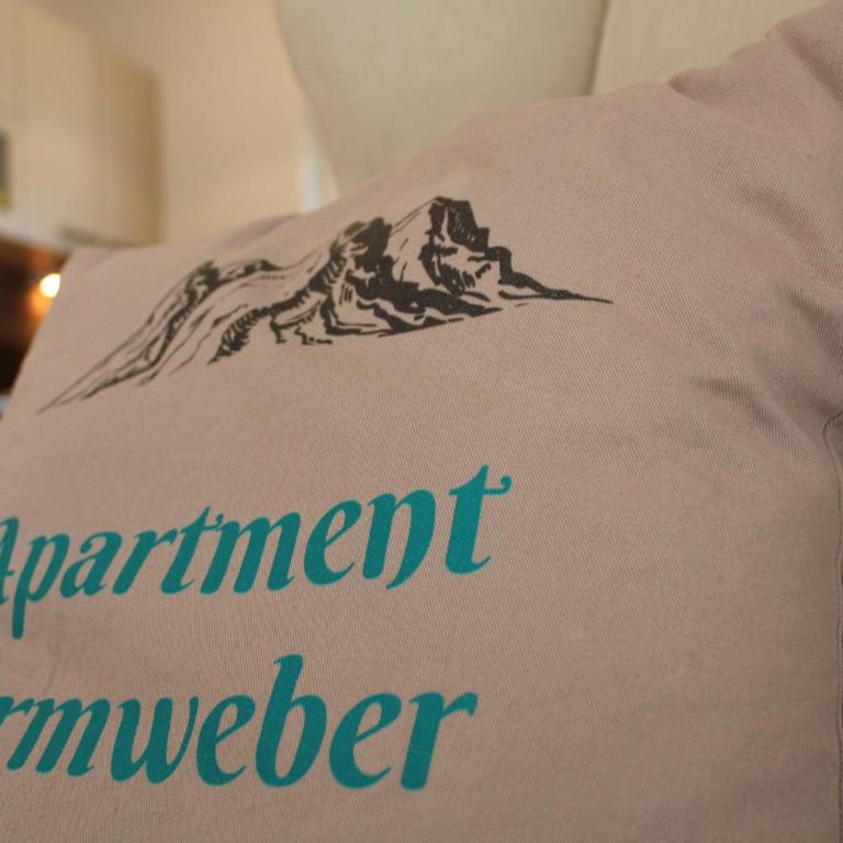 Apartment ZIRMWEBER-Haus - Apartment mit Blick auf die Berge - 8