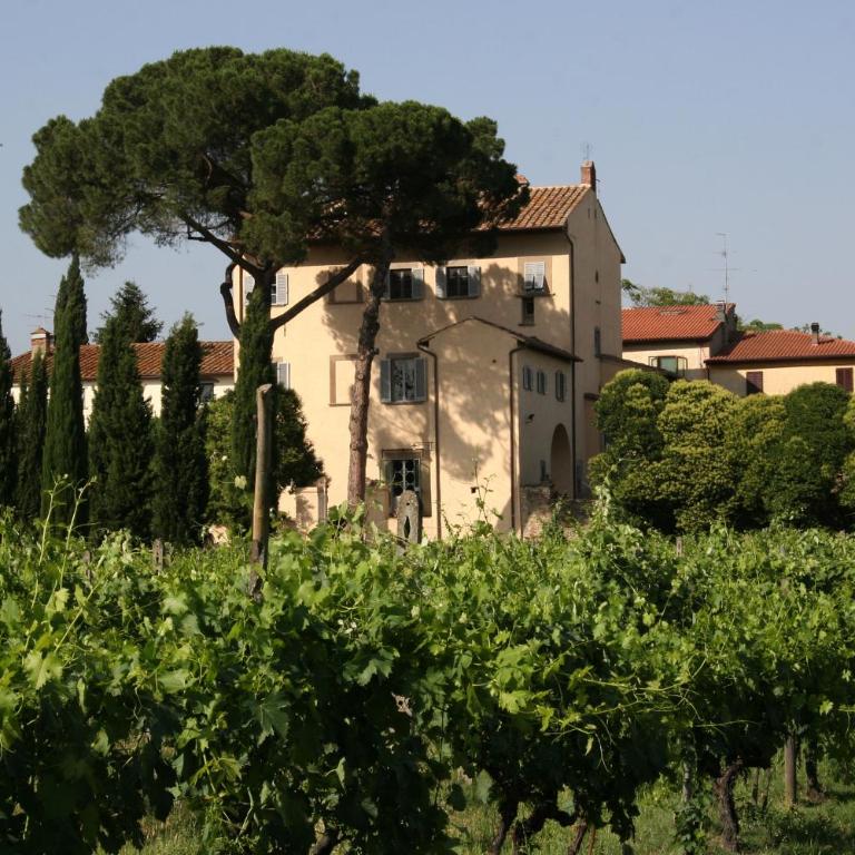 Villa Guadagni Cappelli - Villa - 5