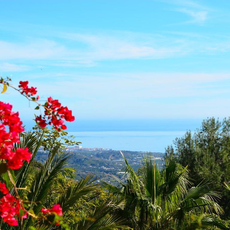 Casa Amarilla, Frigiliana Luxury Country villa with pool and parking HansOnHoliday Rentals - Apartamento de 3 dormitorios - 27