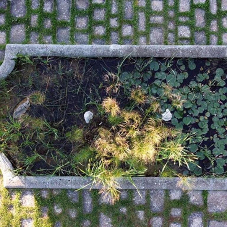 Villa La Zagara - Fasano - Casa con 2 Camere da Letto - 21