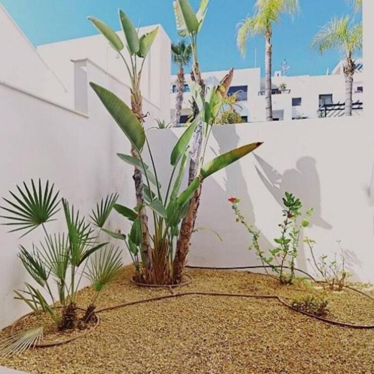 Precioso apartamento en Macenas - Apartamento de 2 dormitorios - 13