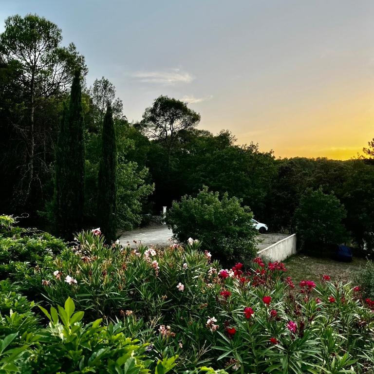 Natur & Jasmin Chambres d'hôtes naturistes en Provence - Chambre Double avec Salle de Bains Privative - 8