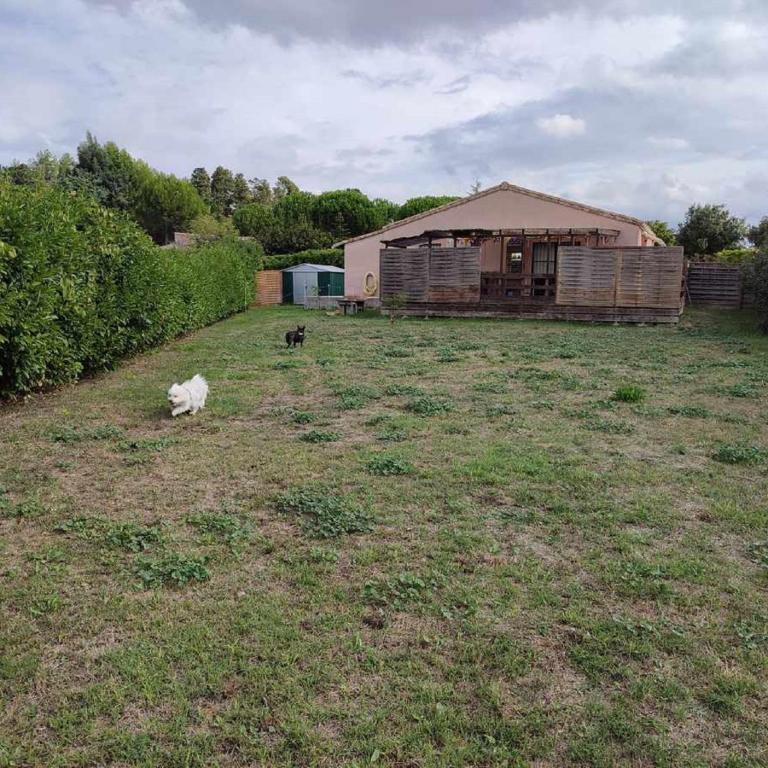 Le Cosy Occitan villa chaleureuse indépendante baignoire terrasse jardin - Casa con 1 dormitorio - 37