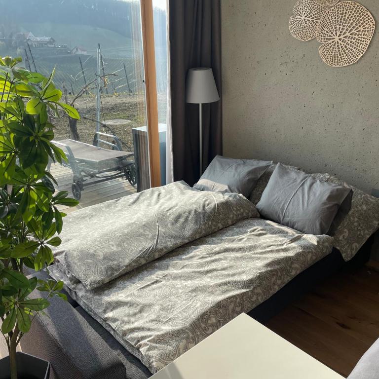 *BRANDNEW* MODERNES APARTMENT IN DEN WEINBERGEN MIT POOL UND SAUNA - Apartment mit 1 Schlafzimmer - 16