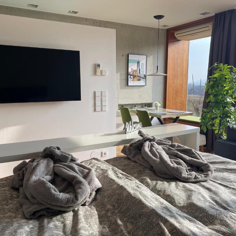 *BRANDNEW* MODERNES APARTMENT IN DEN WEINBERGEN MIT POOL UND SAUNA - Apartment mit 1 Schlafzimmer - 4