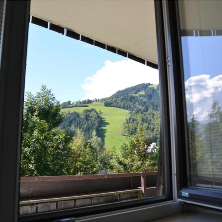 Alpine Lodge Apartment - Apartment mit 2 Schlafzimmern - 1