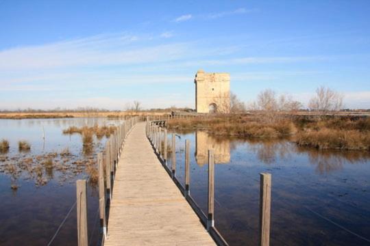 Vacances en Camargue proche de la mer climatisé - Appartement 2 Chambres - 18