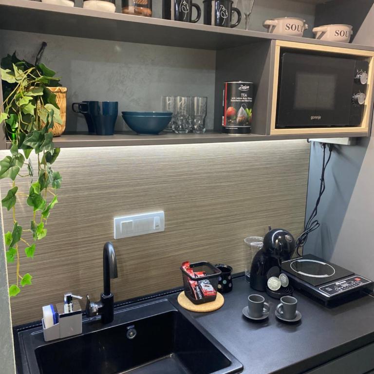 SpaNish apartman - Apartman sa 1 Spavaćom Sobom - 2