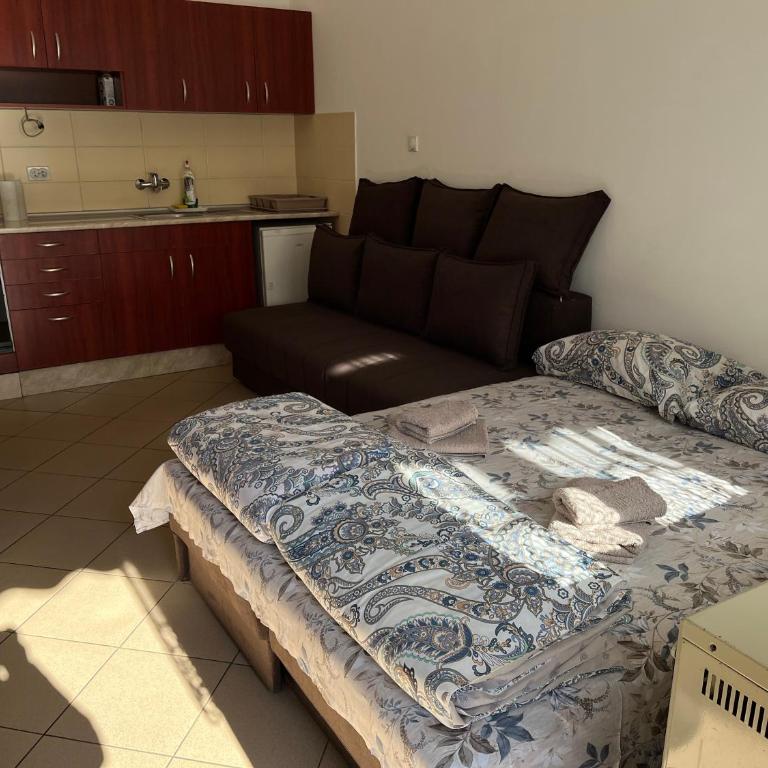 Mladenović smeštaj - Apartman sa 1 Spavaćom Sobom - 1