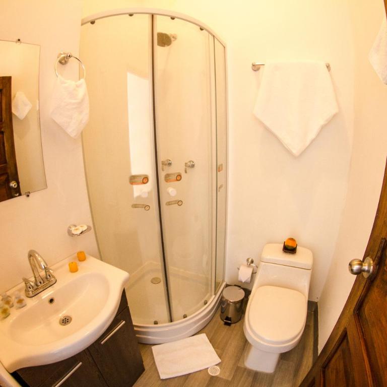 Santa Alejandría Hotel - Habitación Doble Estándar - 5