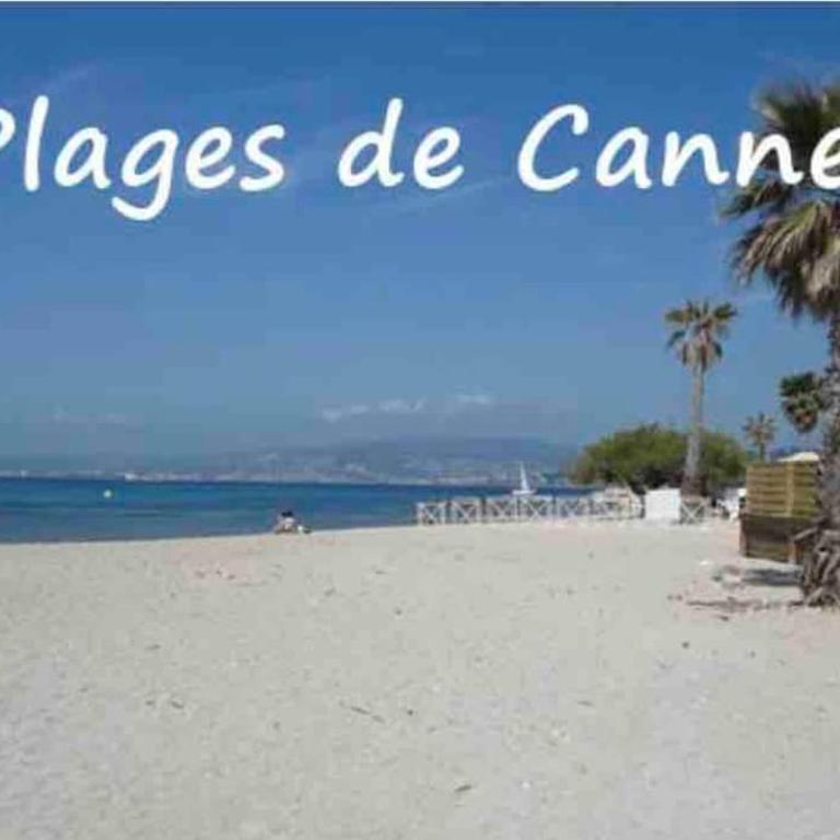 Cannes centre , magnifique , 5 min palais - Apartamento de 1 dormitorio - 5