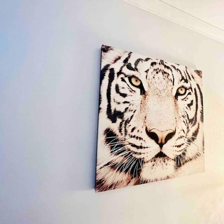 Cannes centre , magnifique , 5 min palais - Apartamento de 1 dormitorio - 19