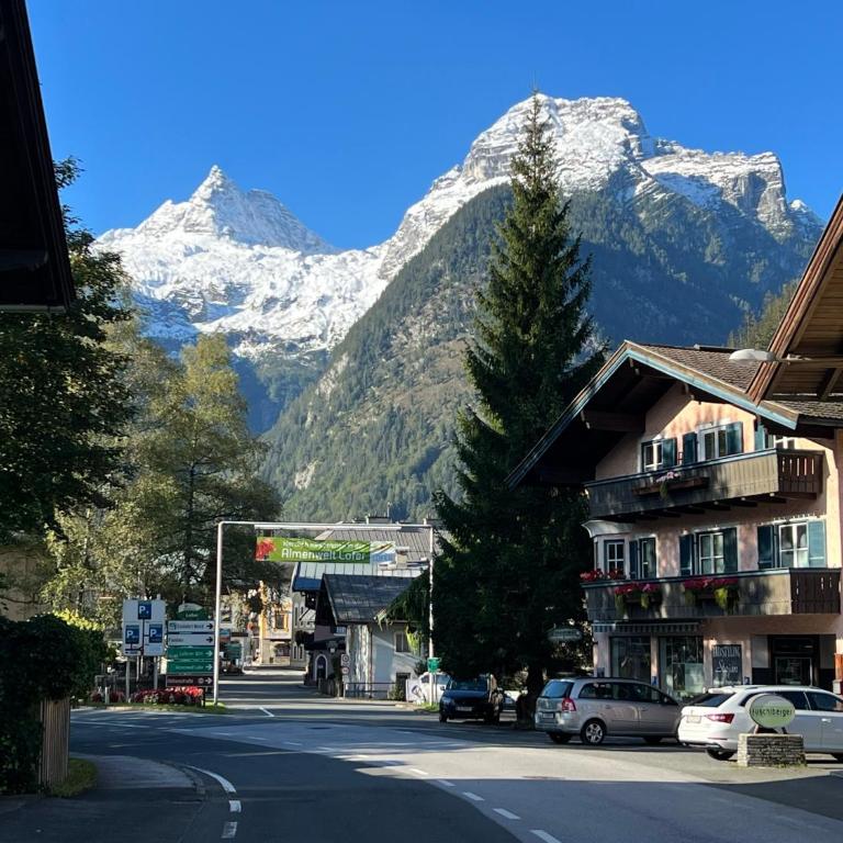 Loferlodge Top 3 - Appartement 2 Chambres - 19