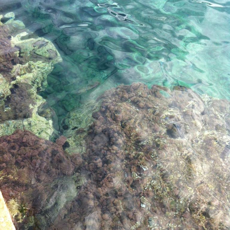 Boka Residence 8 - One-Bedroom Apartment - 34