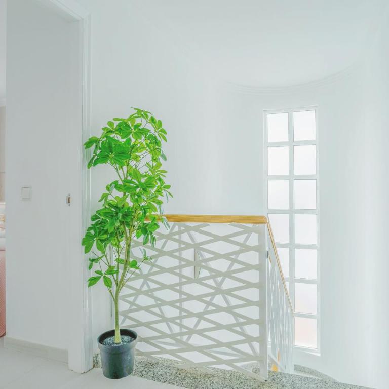 Casa Laura - Three-Bedroom Villa - 21