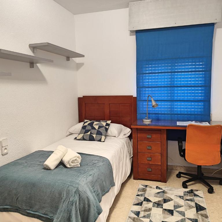 Céntrico Apartamento Jardines de Vallellano - Apartamento - 35