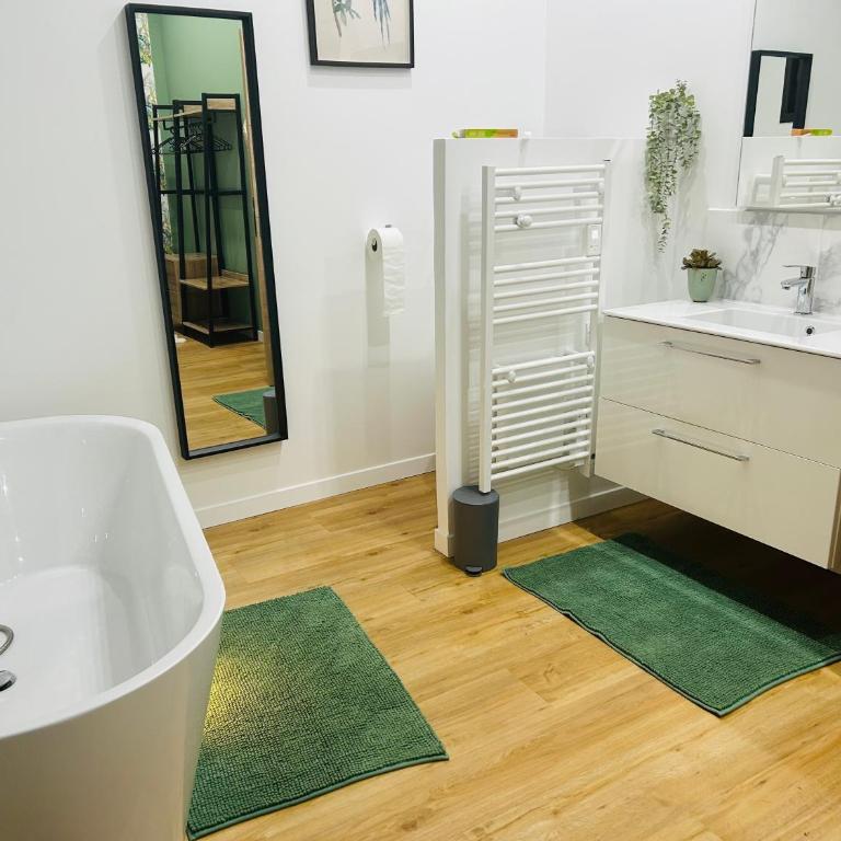 Magnifique Appartement l'Aigrette - Appartement 2 Chambres - 10