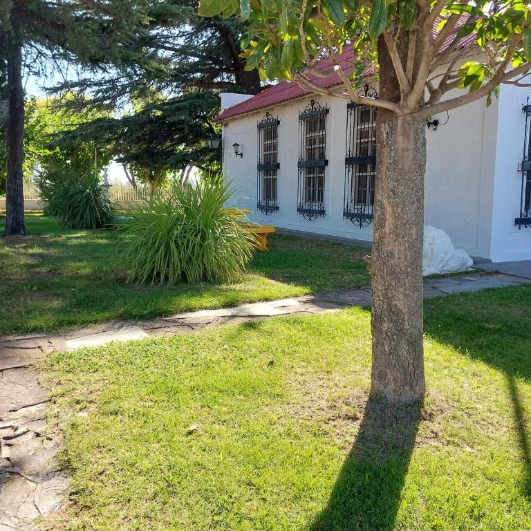 Casa de Campo Finca La Superiora - Casa de 3 dormitorios - 20