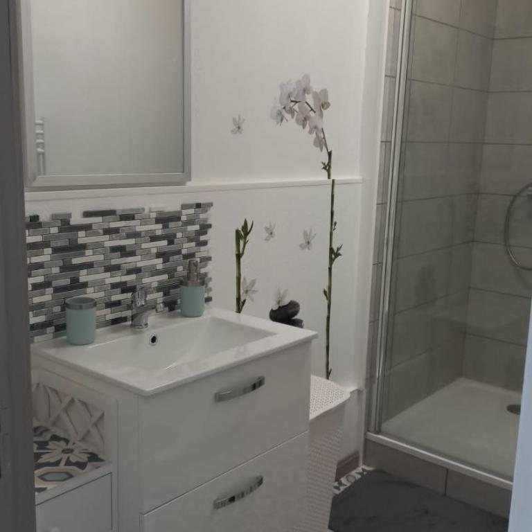 STUDIOS ET APPARTEMENTS EN CENTRE VILLE Boulogne sur mer - Appartement 1 Chambre - 16
