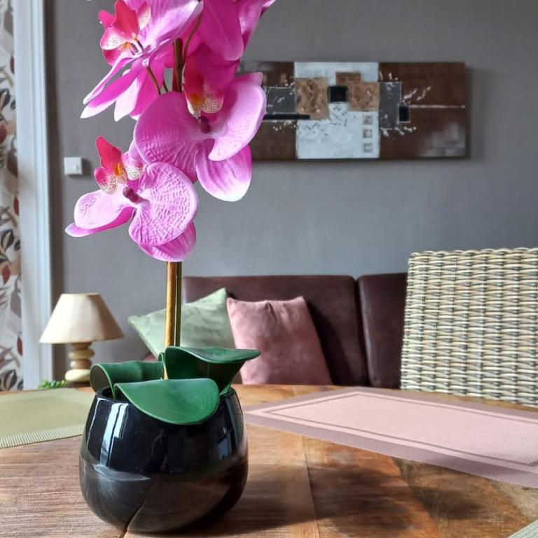 STUDIOS ET APPARTEMENTS EN CENTRE VILLE Boulogne sur mer - Appartement 1 Chambre - 3
